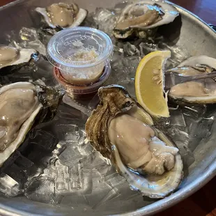Oysters on the half shell