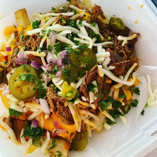 Loaded birria fries
