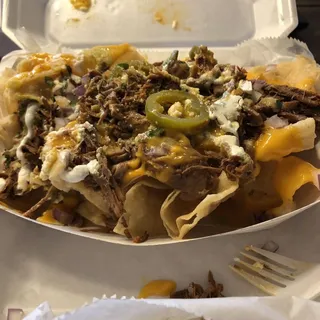 Loaded birria nachos