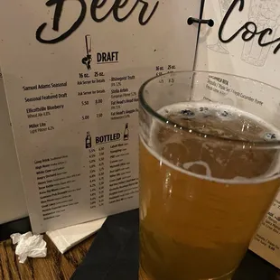 Ellicottville Blueberry Ale
