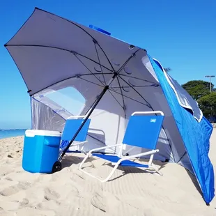 Sand turtle (Cillax Pax)