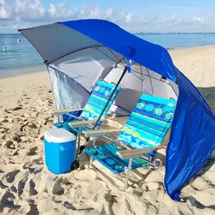 Lounge Lizzard (Chillax Pax)