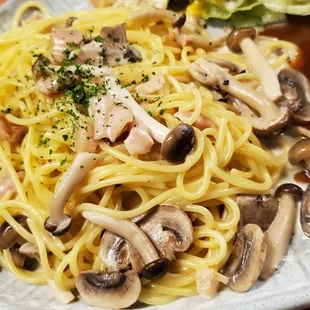 Asari Kinoko Cream Spaghetti