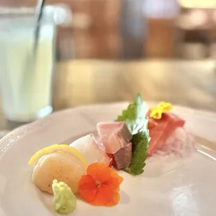 Hotate, madai, yellowtail, bluefin tuna