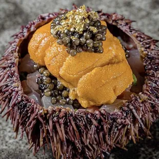 Uni special