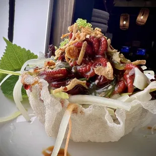 Octopus