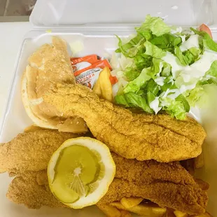 Fish plate