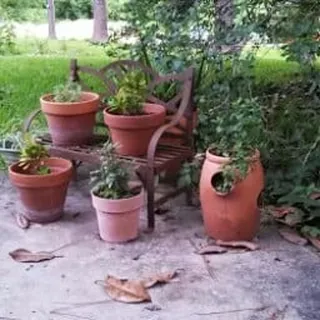 M H.