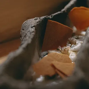 Tiger Scallop was interesting.