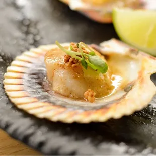 oysters and mussels, food