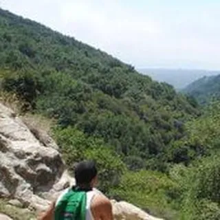 Gustavo O.