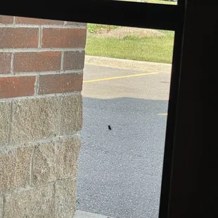 outside
