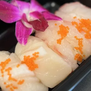 Hotate Nigiri and Amaebi