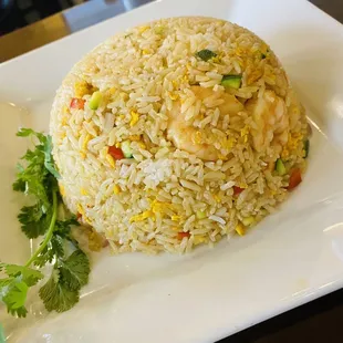 Regular Fried Rice