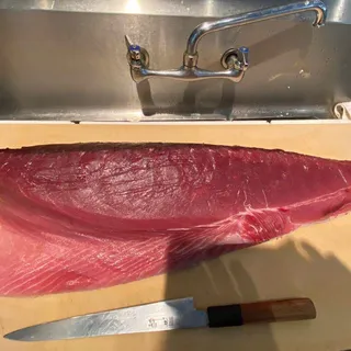 Maguro