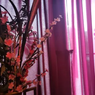 a vase of flowers in front of a window