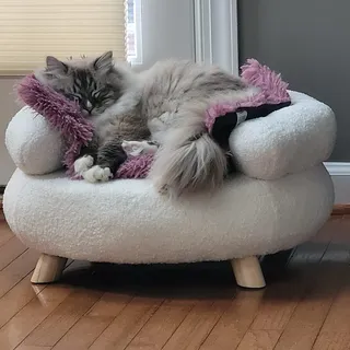 K M.