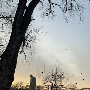 outside