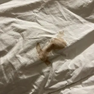 A really big red/brown stain