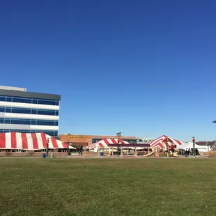 Setting up for the holiday market