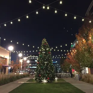 Holiday season begins