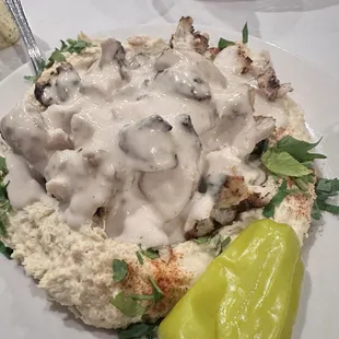 oysters and mussels, food