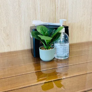 Hand sanitizer