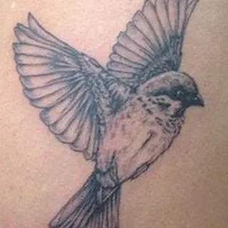 Robbin T.