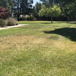 Large grass area with concrete walkways.