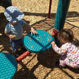 Playing with the tan bark.