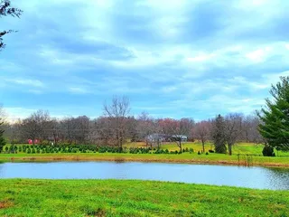 Berninger Christmas Trees and Wreaths