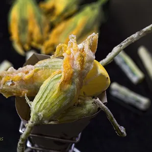 Fried Zucchini Flowers