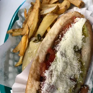 a hot dog and french fries