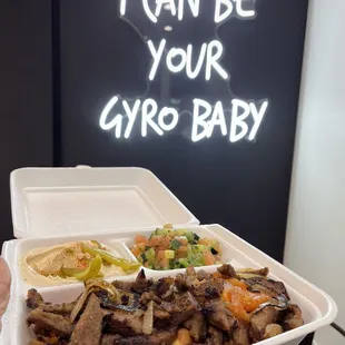 Gyro Plate