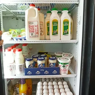 an open refrigerator