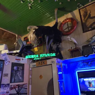 A glimpse of the &quot;modern&quot; juke box