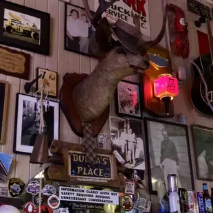 a deer head mounted on a wall