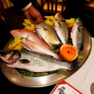 food, sashimi, sushi and sashimi, sushi