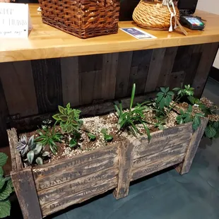 Inside planter