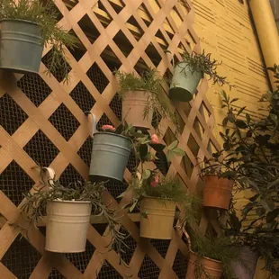 Also back patio