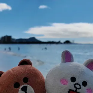 Happy last Aloha Friday of 2022!