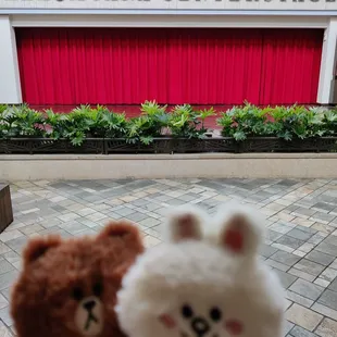 Waiting for the free hula show!