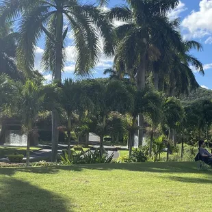 Game 2:  info- field 1,2 &amp; 3 are on lower field not middle or upper. Directly across from Hon. Country Club