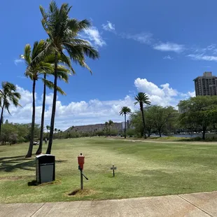 Best View of the course