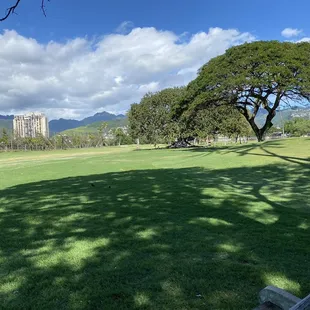 the course was very forgiving with wide beautiful fairways. You could miss left of right and still have a good lie.