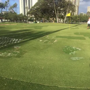 Paspalum on #3 taking root! Give it a couple months and it will be covered.