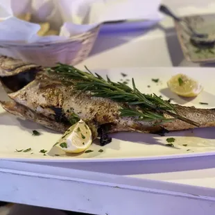 Whole branzino