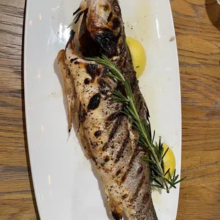 Branzino