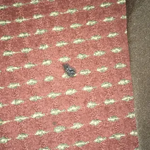 Cigarette burn in the carpet, next to the bed. It also smells terrible in here and I used to smoke!