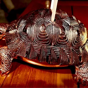 Don't Touch the Turtles